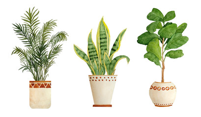 Watercolor hand drawn illustration elements of areca parlor palm sanseviera snake plant fiddle leaf tree ficus. Pot beige terra cotta clay potted for urban jungle nature lovers indoor houseplants