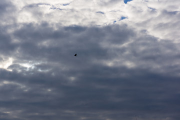 冬の空と雲(12月)