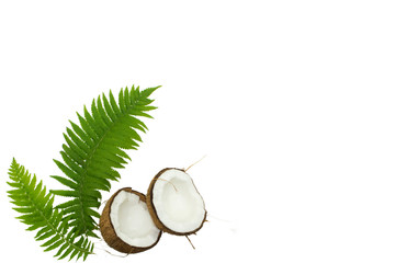 Obraz na płótnie Canvas coconut and green leaves on a white background, isolate, exotic product, coconut industry, raw materials for cosmetics