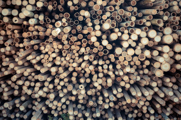 Beautiful nature cutting bamboo sticks texture use for pattern