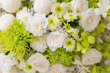 roses and white chrysanthemum fresh flower