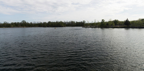 Lake Surrounded by Forest on a Warm May Day