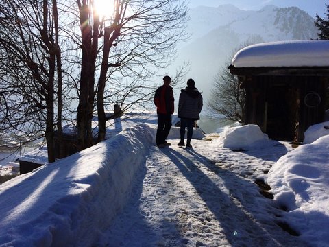 Men Standing By Tree On Snow Covered Walkway