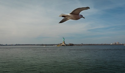 Fototapeta na wymiar Statue of Liberty with Seagull in Flight in Foreground
