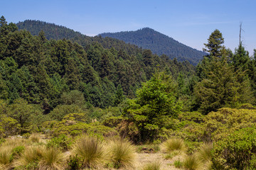 national park La Marquesa Mexico city