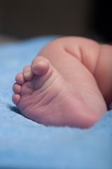 Newborn baby foot and leg on a blue blanket