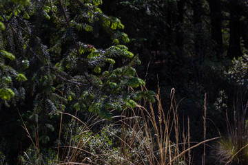 national park La Marquesa Mexico city