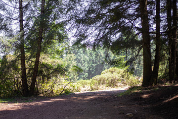 Fototapeta premium national park La Marquesa Mexico city