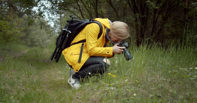 Side view of beautiful woman in yellow jacket and black trousers sitting on knees at green forest while taking photos of wild nature. Professional photography and macro shot.