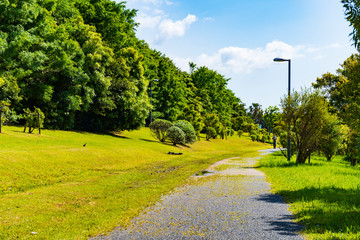公園