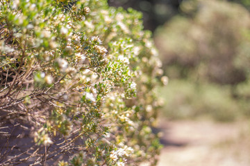 national park La Marquesa Mexico city