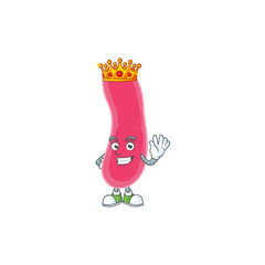 A charming King of fusobacteria cartoon character design with gold crown