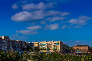 Fototapeta premium City Park. Elche, province of Alicante. Spain