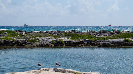 View of the Ocean with seagulls, an island, boats, peaceful water, and more from Riviera Maya, Mexico.