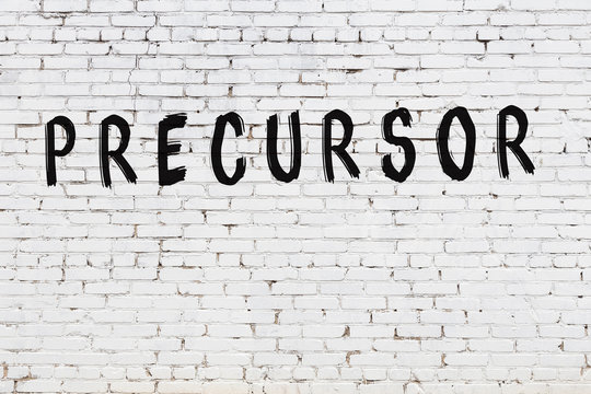 Word precursor painted on white brick wall