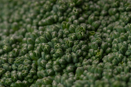 Broccoli cabbage macro texture. Healthy food concept © alan