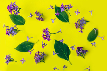 Floral pattern made of lilac flowers on yellow background. Flat lay flowers composition for your disign. Top view. Valentine's or wedding background