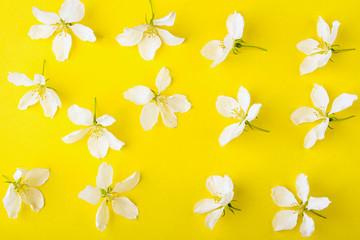 Floral pattern made of apple tree flowers on yellow background. Flat lay flowers composition for your disign. Top view. Valentine's or wedding background. Copy space for text, mock up.