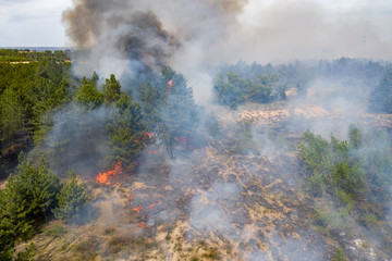 Aerial view of a fire in a pine forest. Disaster filming by drone