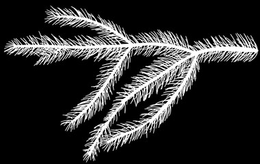 small white silhouette of fir branch on black