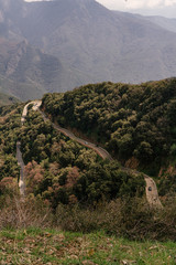 Mountain Side Road