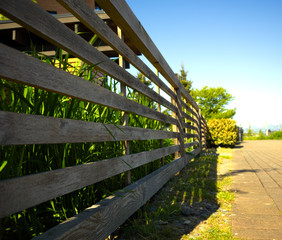 IMG_0803 wooden fence of garden