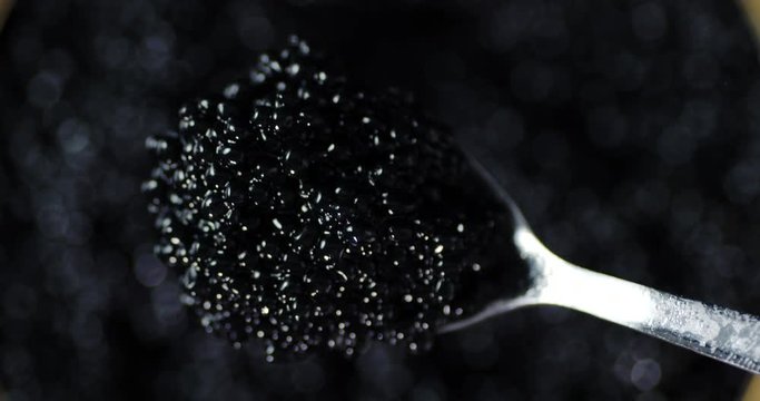 Spoonful of fresh black caviar.