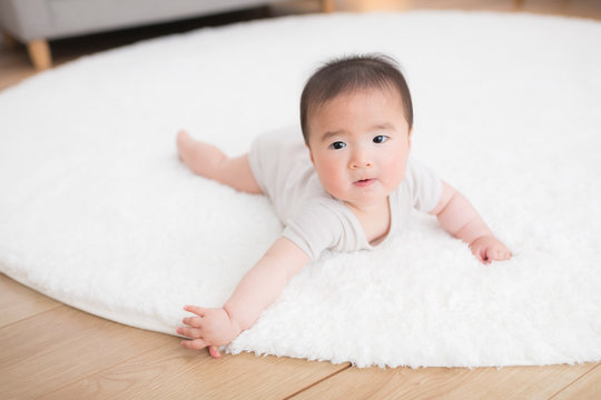 266 Best 動き回る Images Stock Photos Vectors Adobe Stock