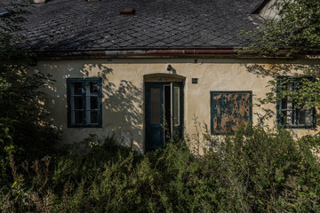 open door to a shady house with lots of plants