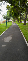 road in the park