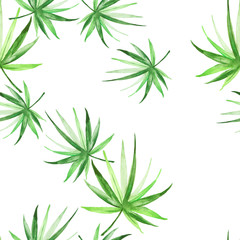 Watercolor palm leaf seamless pattern.  Tropical leaves. Jungle, hawaii. Bright Rapport for Paper, Textile, Wallpaper, design. Tropical leaves watercolor. Exotic tropical palm tree 
