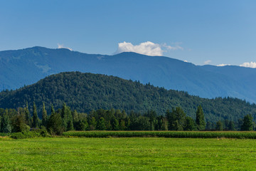 Fototapeta na wymiar green mountain meadow tranquil summer view british columbia canada.