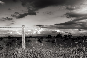 Black and white photo of Hunter Valley, Australia