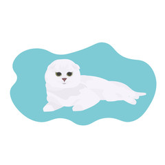 cute white cat sleeping home pet relaxing on floor vector illustration