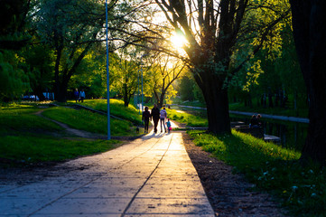 Sunny summer park with people walking in the evening at sunset