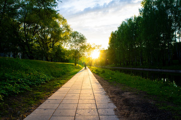 Sunny summer park with people walking in the evening at sunset