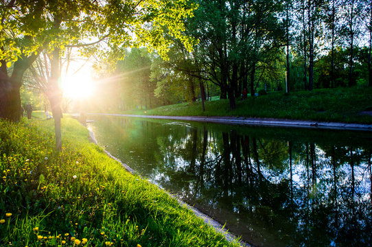 Sunny summer park with a river in the evening at sunset © Payllik