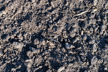 Soil with mineral fertilizer