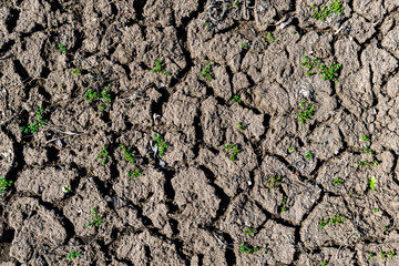 Soil erosion background