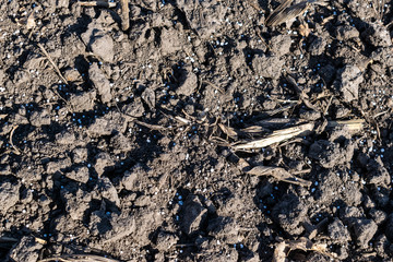 Soil with mineral fertilizer