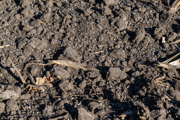 Soil with mineral fertilizer