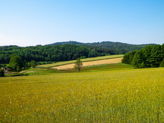 Hills, fields and meadows - beautiful landscape of Wiezyca.