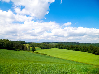 Obraz premium Hills and fields of Wiezyca Kashubia region, Poland.