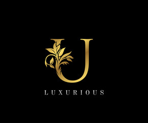 Classy Golden U Letter Floral logo. Vintage drawn emblem for book design, weeding card, label, business card, Restaurant, Boutique, Hotel. © bintank