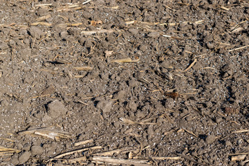 Soil with mineral fertilizer