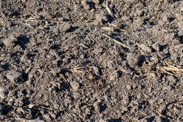 Soil with mineral fertilizer