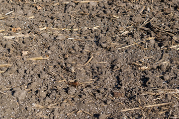 Soil with mineral fertilizer