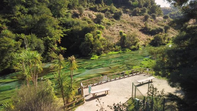 4k locked off motion of woman walking to the hand rail looking at the stream of Blue Spring which is a nature fresh water spring and hiking trail of the Te Waihou walkway ,north Island,New Zealand 