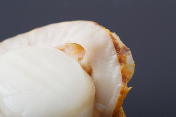 ホタテの貝ひも