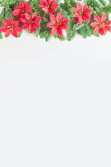 Christmas concept. Border of red poinsettia flowers and green fir twigs on white background. space for text, vertical frame, flat lay